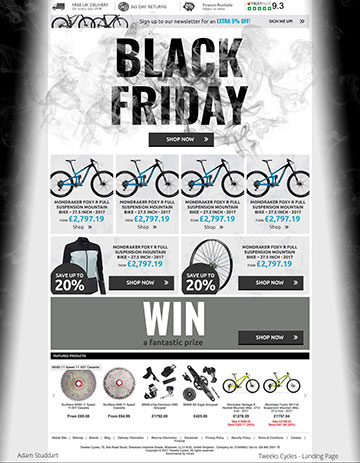 Tweeks Cycles - Landing Page Design